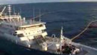 The Worlds Largest Tuna Fishing Vessel [upl. by Tomas]