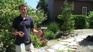 How To Make A Garden Inoculant For Less Than 1 [upl. by Elsilrac22]