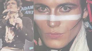 Tribute to ADAM ANT  Desperate But Not Serious [upl. by Maryann]