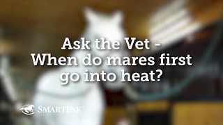 Ask the Vet  When do mares first go into heat [upl. by Htirehc273]