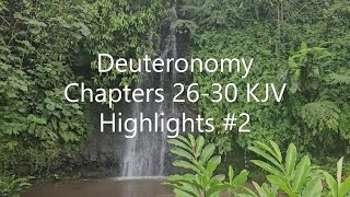 Deuteronomy Chapters 2630 KJV Highlights 2 [upl. by Salohcin]