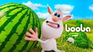 Arbuz 🍿 Zabawne Kreskówki 🍿 Booba 🍿 Super Toons TV Po Polsku [upl. by Etyak493]