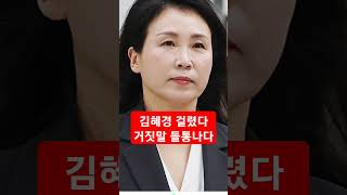 진성호방송 김혜경 금융결제내역엔 현금 결제 없었다 재판 재반전 [upl. by Fabriane]