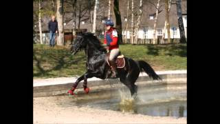 Impressionen Trakehner Perspektivlehrgang Vielseitigkeit 2016 [upl. by Inaliel]