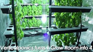 Vertical Grow System Big Buddha Box Indoor Grow Room [upl. by Adnohr]