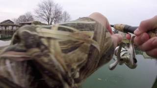 Spring Perch Fishing  Lake St Clair [upl. by Etnad162]