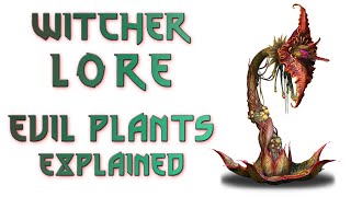 The Witcher Lore  Evil Plants Echinops amp Archespore [upl. by Jed]