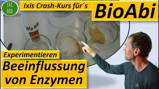 Enzyme 6 Experiment zur pHAbhängigkeitSchwermetallhemmung  Anwendungsaufgaben  Fit für´s BioAbi [upl. by Ornie]