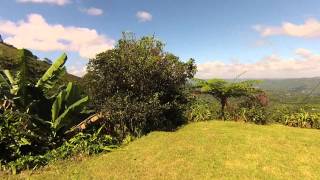 Mountain Property Outside Utuado Puerto Rico [upl. by Onibag]