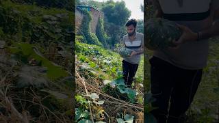 Ek taraf job ki kosis or dusri taraf itna sara kaam minivlog dailyshorts farming villagelife [upl. by Anaujat340]