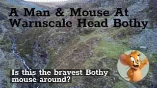 Meeting The Bravest Mouse Ever At Warmscale Head Bothy [upl. by Prior155]