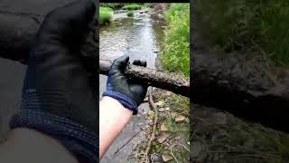 MAGNET FISHING  in a Small Creek in Corning New York Pruyne Prine Time Magnet Fishing [upl. by Melvina583]