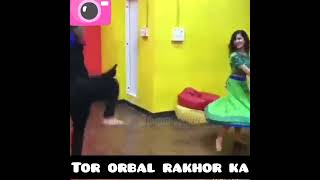 tor orbal rakhor ka with dance [upl. by Anerev]