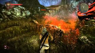 The Witcher 2 Kayran Ballett dark mode no armour no potions [upl. by Graig]