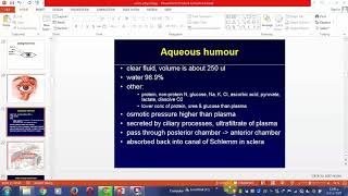 Physiology of vision Part 2 U9 W8 DrMuhannad [upl. by Marsden]