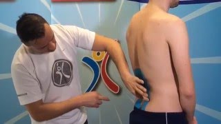 Kinesio Tape Kinesiologie Tape bei SchmerzenVerspannung in Nacken amp LWS [upl. by Stephens]