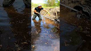 Beaver Dam In The Mouth Of The Culvert  Beaver Dam Removal shorts [upl. by Reivaxe]