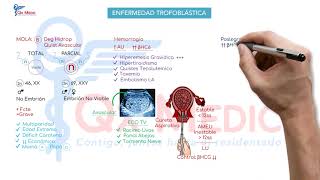 Ficha resumen Obstetricia Enfermedad trofoblástica ENAMENARMSERUMS [upl. by Haskel124]