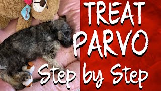 HOW TO CARE FOR YOUR PUPPY WITH PARVO AT HOME  ADMINISTERING IV FLUIDS NUTRICAL  ORGANIC DROPS [upl. by Airotcivairam]