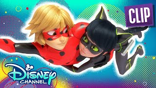 Ladybug and Cat Noir Switch  Passion  Miraculous Ladybug  disneychannel x Miraculous [upl. by Fillian]