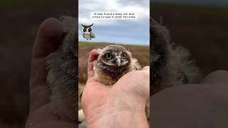 A lady raised a baby owl at home shorts [upl. by Initsed]