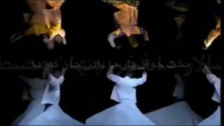 محسن چاوشیمولانا بیست ھزار آرزو  mohsen chavoshi bist hezar arezoo lyrics [upl. by Nueormahc]