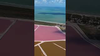 Las Coloradas Yucatán [upl. by Nortna]