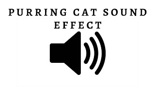 Cat Purring Sound Effect [upl. by Aynik]