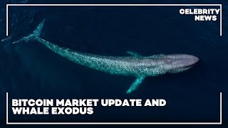 Bitcoin Market Update and Whale Exodus [upl. by Aitnyc316]