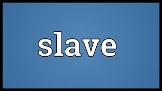 Slave Meaning [upl. by Novah]