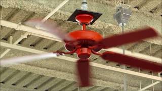 Sighting Four Red 132 cm Ceiling Fans at Old Navy [upl. by Enutrof]