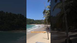 Is this the BEST beach in Sri Lanka 🇱🇰 [upl. by Earlie457]