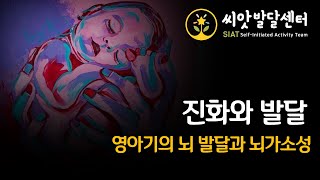 진화와 발달 영아기 유생 연장 뇌 발달과 뇌가소성 [upl. by Hackney]