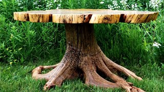 24 Tree stump ideas creative small backyard garden ideas [upl. by Ellened]