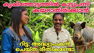 കൃഷിത്തോട്ടത്തിൽ കാട്ടുപന്നി കയറാതിരിക്കാൻ റിട്ട അദ്ധ്യാപകൻ ചെയ്ത രീതി കണ്ടോ  Agri [upl. by Natsrik]