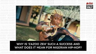 Why is ‘Zazoo Zeh’ such a success and what does it mean for Nigerian HipHop  Pulse Facts Only [upl. by Atinwahs642]