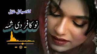 No Kafir De Shama Pashto All time best Classical Ghazal [upl. by Benco]