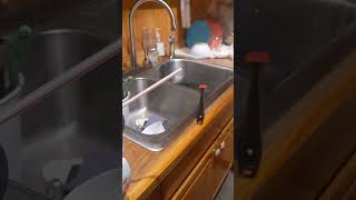 Cooking jasmine rice best method tinyhouse food rice salmon good yummy rigged [upl. by Towne820]