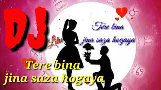 Tere bina jina saza hindi DJ song [upl. by Lenad746]