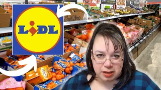 First Time Shopping at LIDL  Grocery Quality and Prices [upl. by Uht]