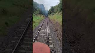 Brake Van Ride  SVR Autumn Steam Gala [upl. by Popper]