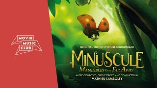 Mathieu Lamboley  Duel des mouches  From the movie quotMinuscule Mandibles From Far Awayquot [upl. by Stefania437]