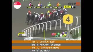 20240114  Race 11 Singapore Kranji Horse Racing Highlights  Pace88 Horse [upl. by Einwat]