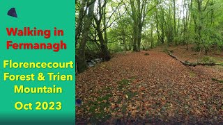 Florencecourt Forest and Trien Mountain Hike Co Fermanagh N Ireland 11 Oct 2023 [upl. by Sidwell868]