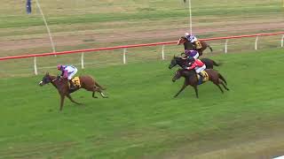 Goondiwindi 20240601 Race 7 [upl. by Novad]