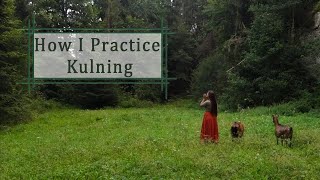 Kulning Tutorial  How I Practice the Ancient Swedish Herdingcall [upl. by Eniagrom326]