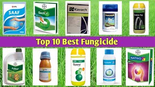 Top 10 Best Fungicide [upl. by Jojo]