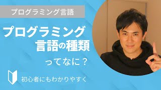 プログラミング言語の種類にはどんなものがある？3分でわかりやすく解説します【プログラミング初心者向け】 [upl. by Collayer]