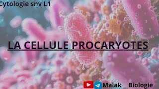 Cytologie  chapitre 1 quotcellule procaryotesquot 👉partie 2 [upl. by Ainessej320]