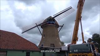 Roede steken bij molen de Paauw Nauerna 16 juni 2017 [upl. by Nylrak170]